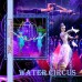 Водный цирк